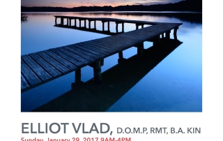 Elliot Vlad How to Be Healthy Course