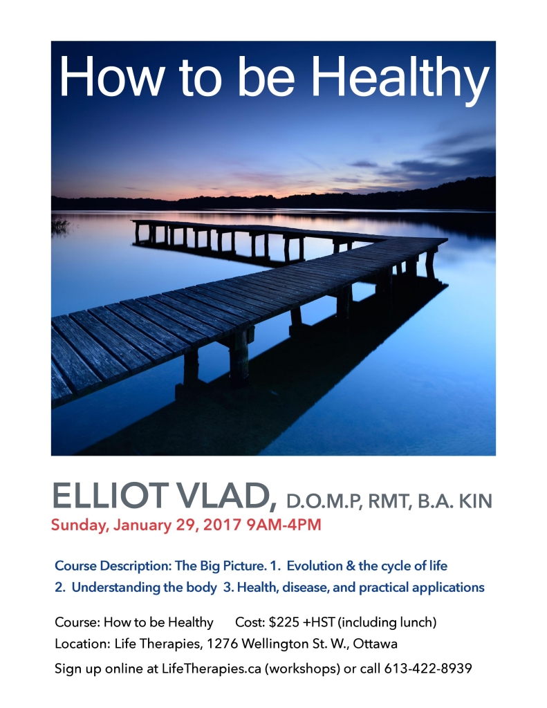 Elliot Vlad How to Be Healthy Course