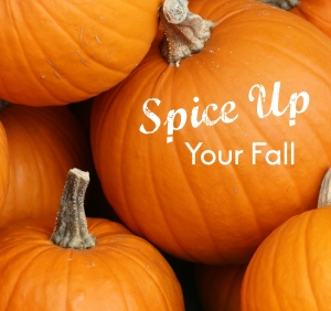 Life Therapies Ottawa Pumpkin Spice Overnight Oatmeal
