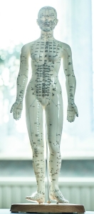 massage therapy ottawa acupressure